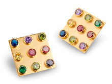 Load image into Gallery viewer, Naja Haje
